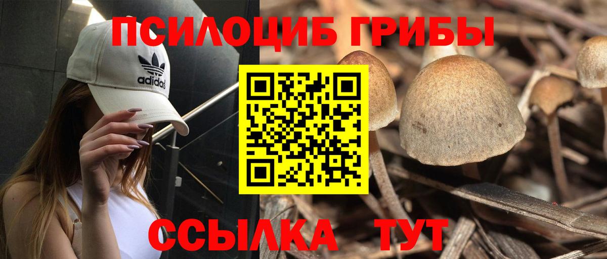 Галлюциногенные грибы мухоморы  Галлюциногенные грибы Cubensis  Вход с VPN  Советский 